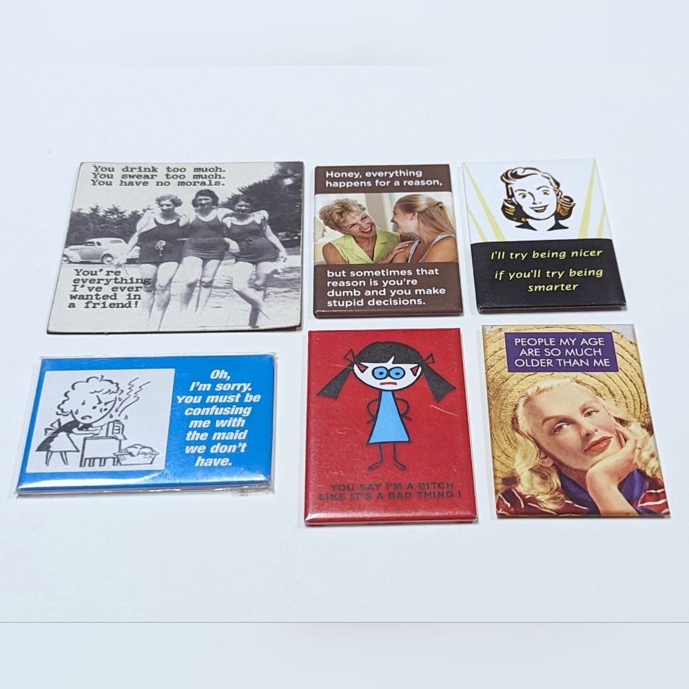 6 Funny Sassy Witty Refrigerator Magnets